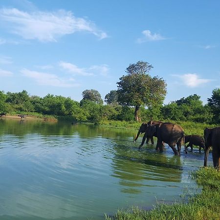 Kuma Safari Lodge Udawalawe Exteriör bild