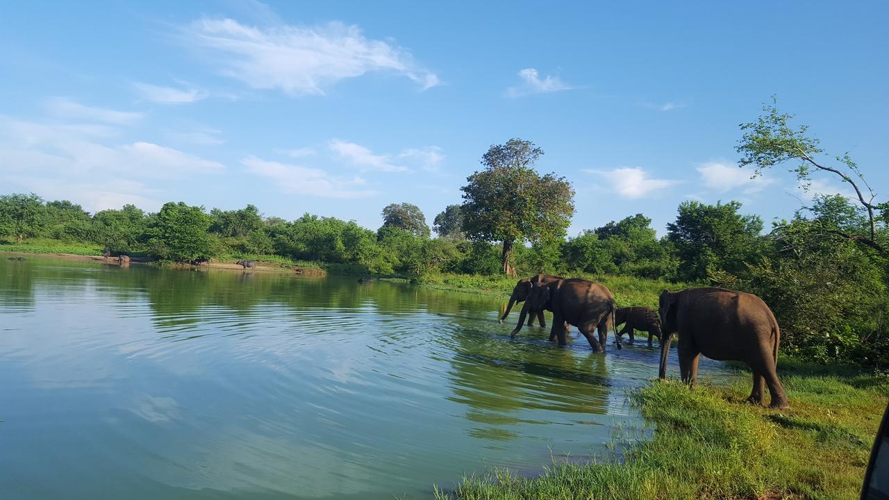 Kuma Safari Lodge Udawalawe Exteriör bild